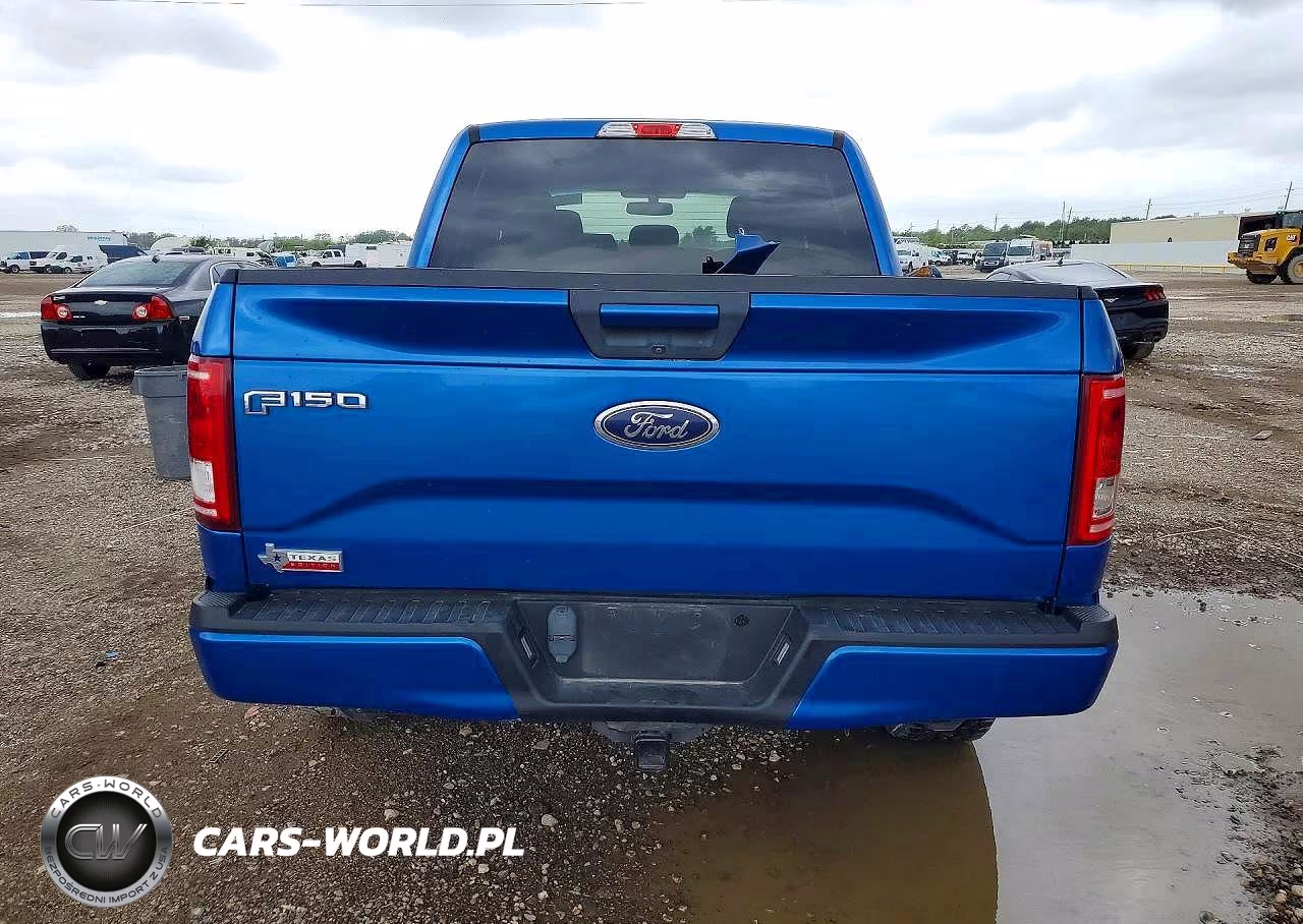 2016 Ford F150 Supercrew VIN:1FTEW1EP8GKE93067 - 6