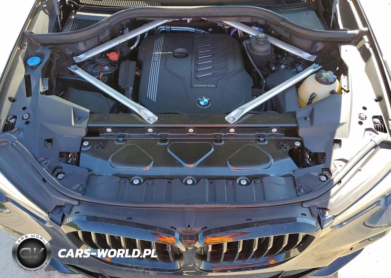 2023 BMW X5 Sdrive 40I VIN:5UXCR4C03P9P60496 - 12