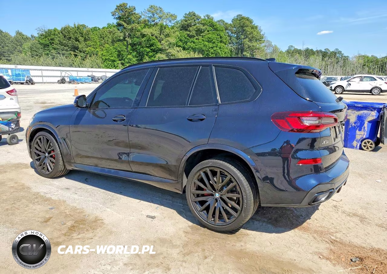 2023 BMW X5 Sdrive 40I VIN:5UXCR4C03P9P60496 - 2