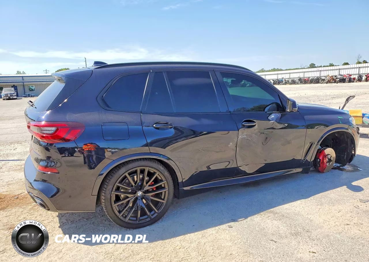 2023 BMW X5 Sdrive 40I VIN:5UXCR4C03P9P60496 - 3