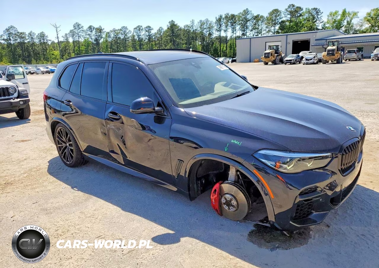 2023 BMW X5 Sdrive 40I VIN:5UXCR4C03P9P60496 - 4