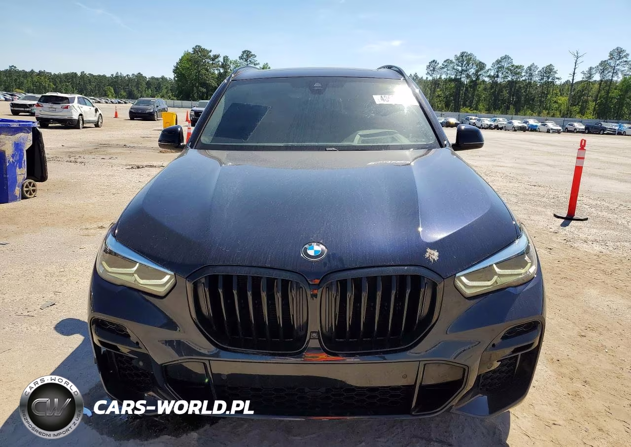 2023 BMW X5 Sdrive 40I VIN:5UXCR4C03P9P60496 - 5
