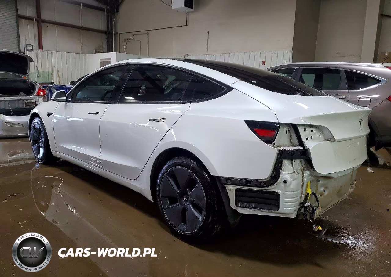 2023 Tesla Model 3 VIN:5YJ3E1EA7PF644774 - 2