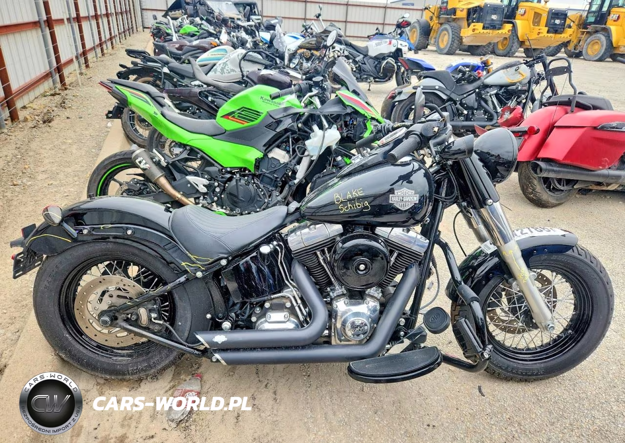 2015 Harley-Davidson Fls Softail Slim