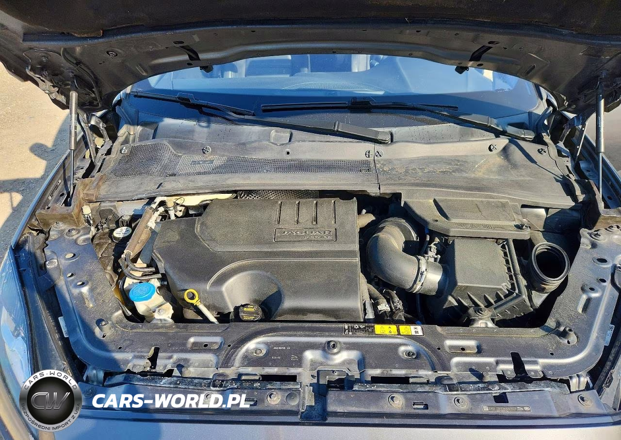 2019 Jaguar E-Pace S VIN:SADFJ2FX3K1Z62527 - 12