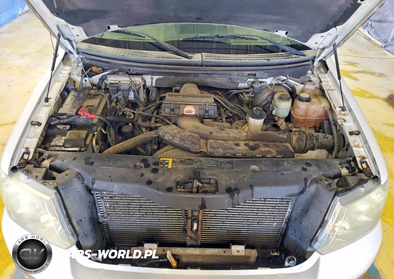 2004 Ford F150 Supercrew VIN:1FTPW12594FA02862 - 11