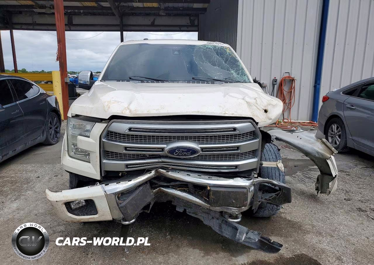 2015 Ford F150 Supercrew VIN:1FTEW1EG1FFA29481 - 5