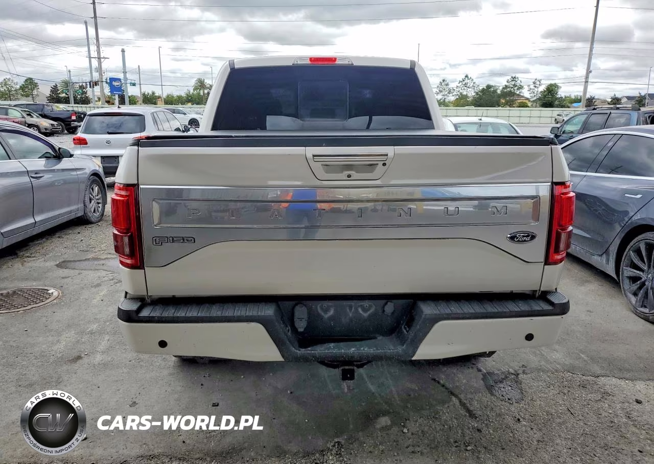 2015 Ford F150 Supercrew VIN:1FTEW1EG1FFA29481 - 6