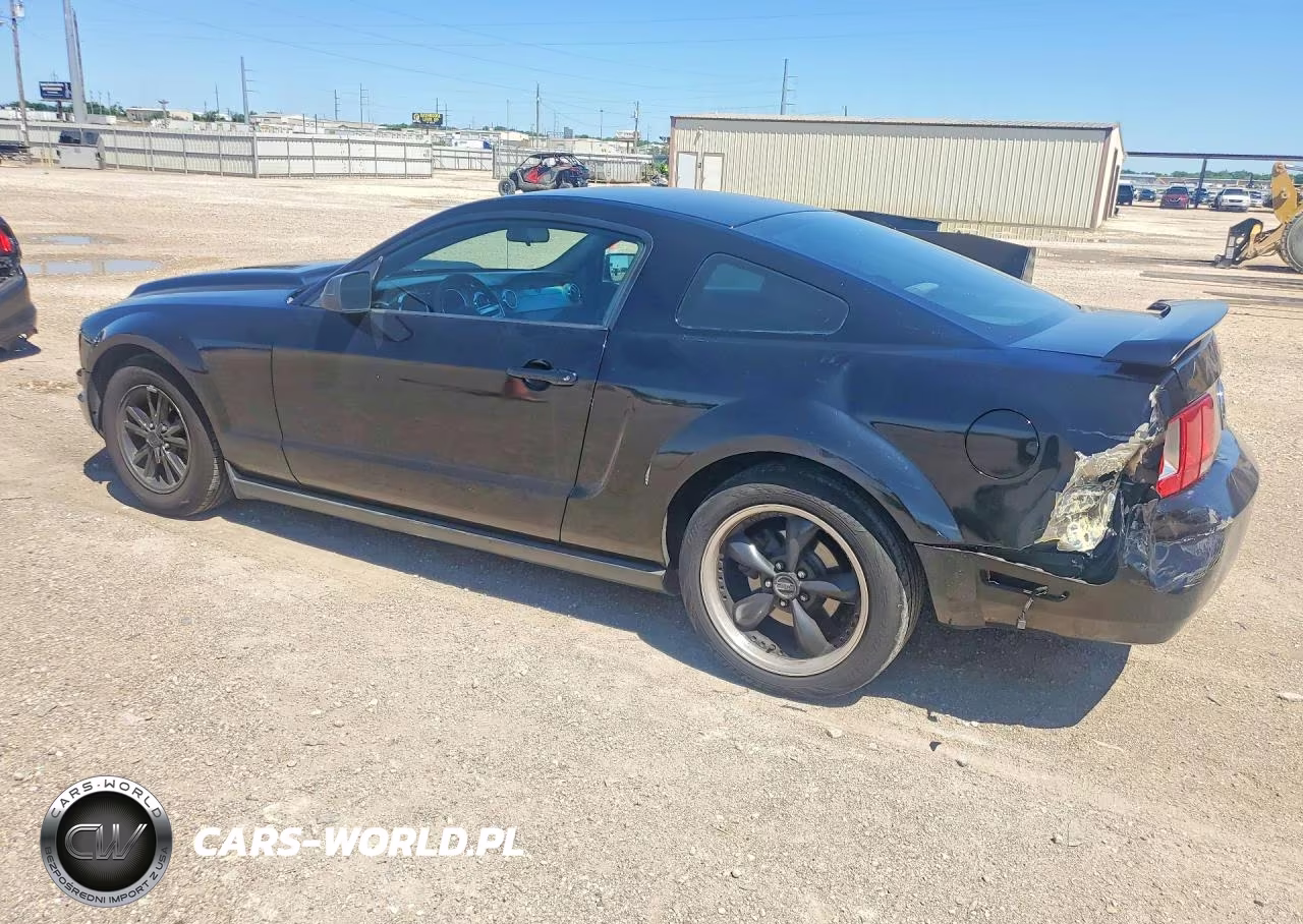 2006 Ford Mustang VIN:1ZVFT80N565265646 - 2