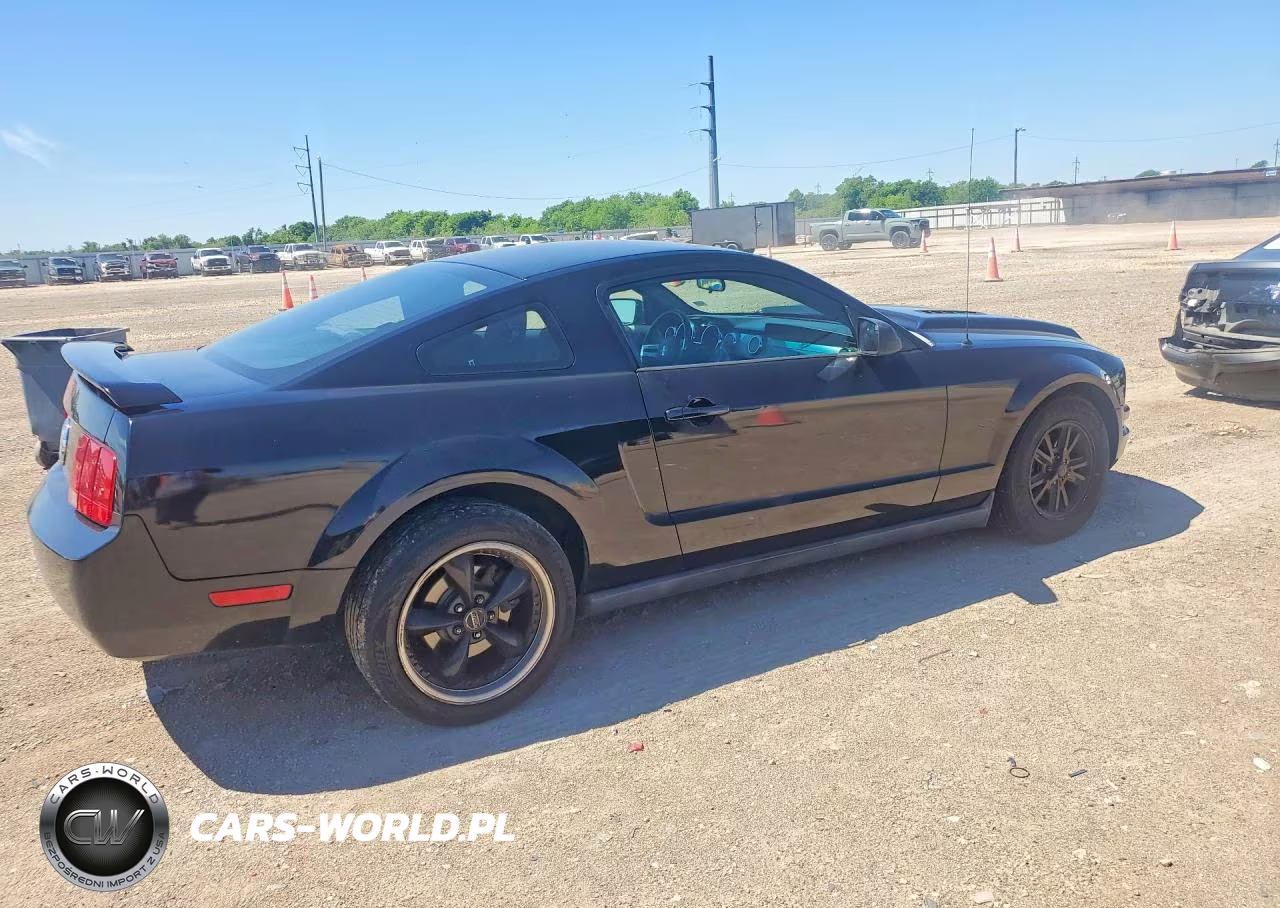 2006 Ford Mustang VIN:1ZVFT80N565265646 - 3