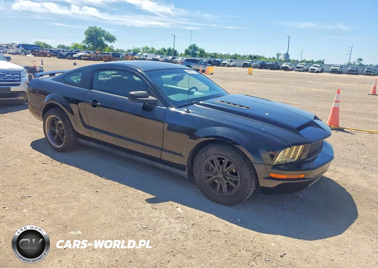 2006 Ford Mustang VIN:1ZVFT80N565265646 - 4