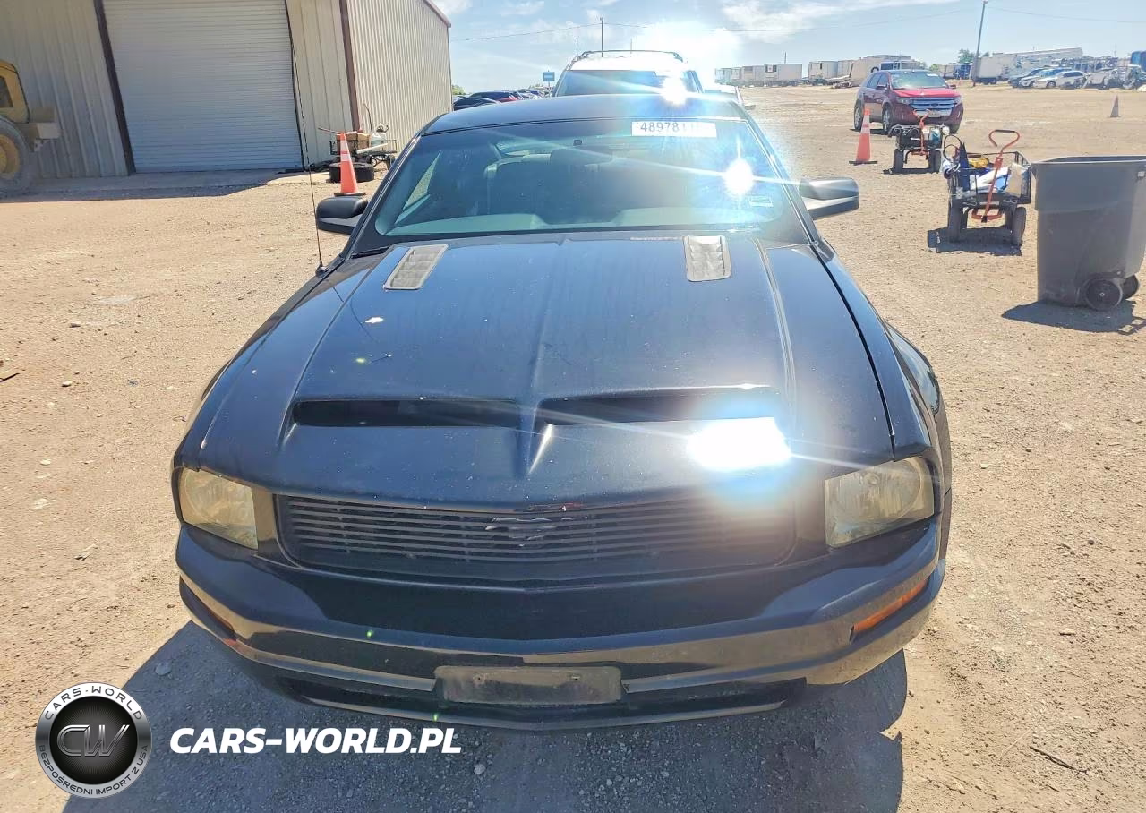 2006 Ford Mustang VIN:1ZVFT80N565265646 - 5