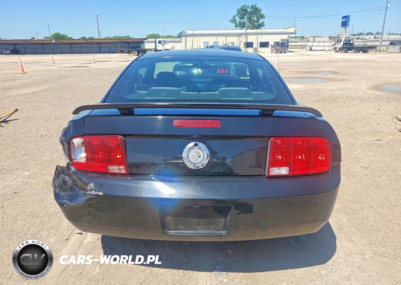 2006 Ford Mustang VIN:1ZVFT80N565265646 - 6