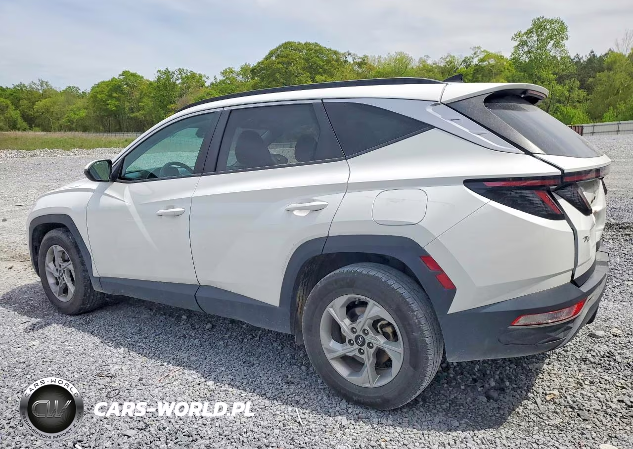 2023 Hyundai Tucson Sel VIN:5NMJB3AE7PH237525 - 2
