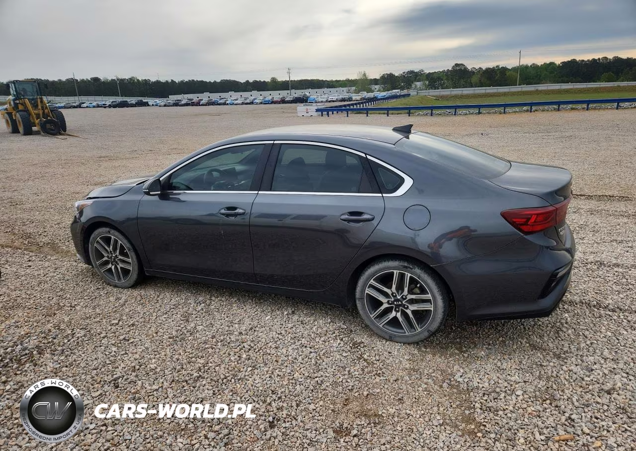 2019 Kia Forte Ex VIN:3KPF54AD9KE034145 - 2