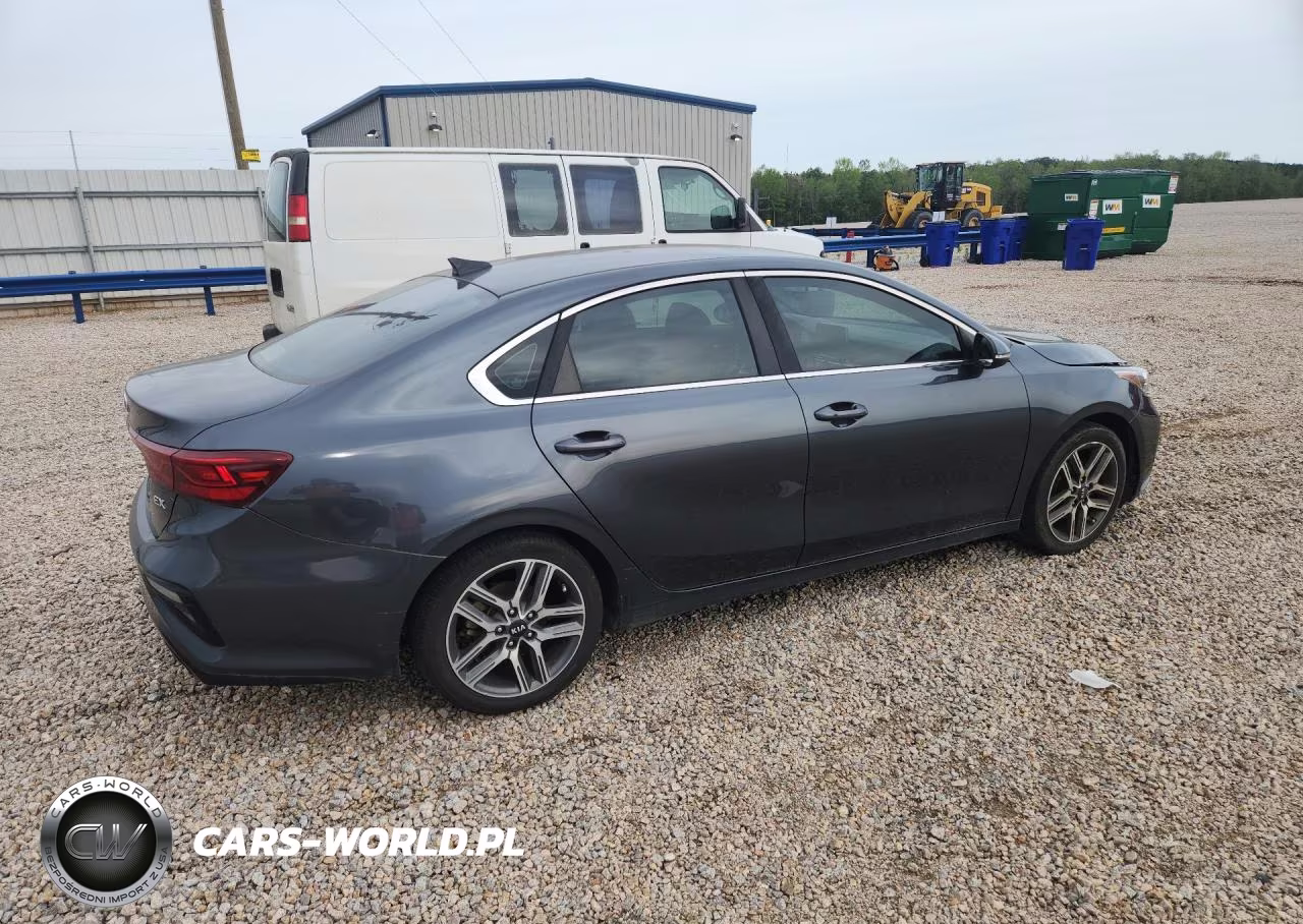 2019 Kia Forte Ex VIN:3KPF54AD9KE034145 - 3