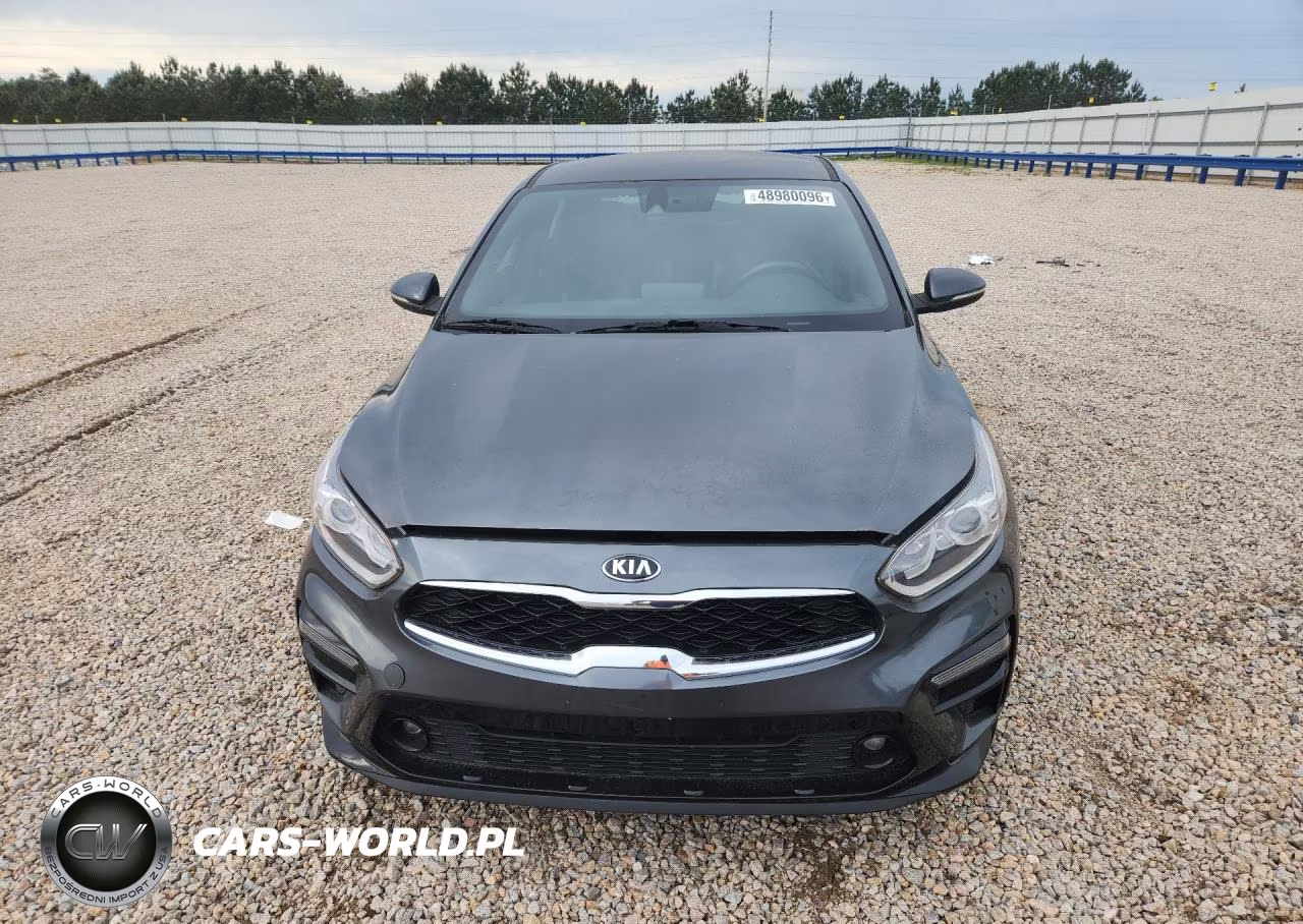 2019 Kia Forte Ex VIN:3KPF54AD9KE034145 - 5