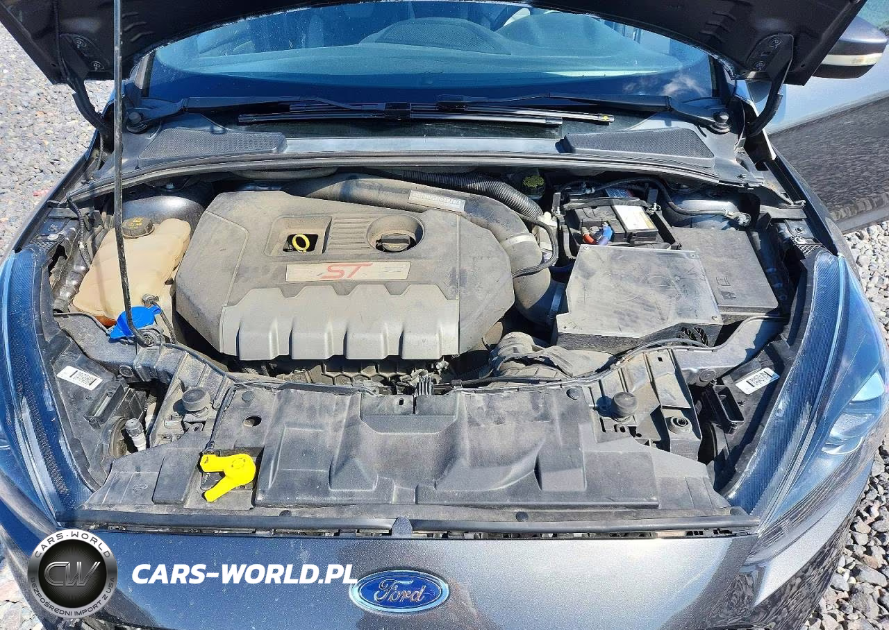 2018 Ford Focus St VIN:1FADP3L93JL331749 - 11