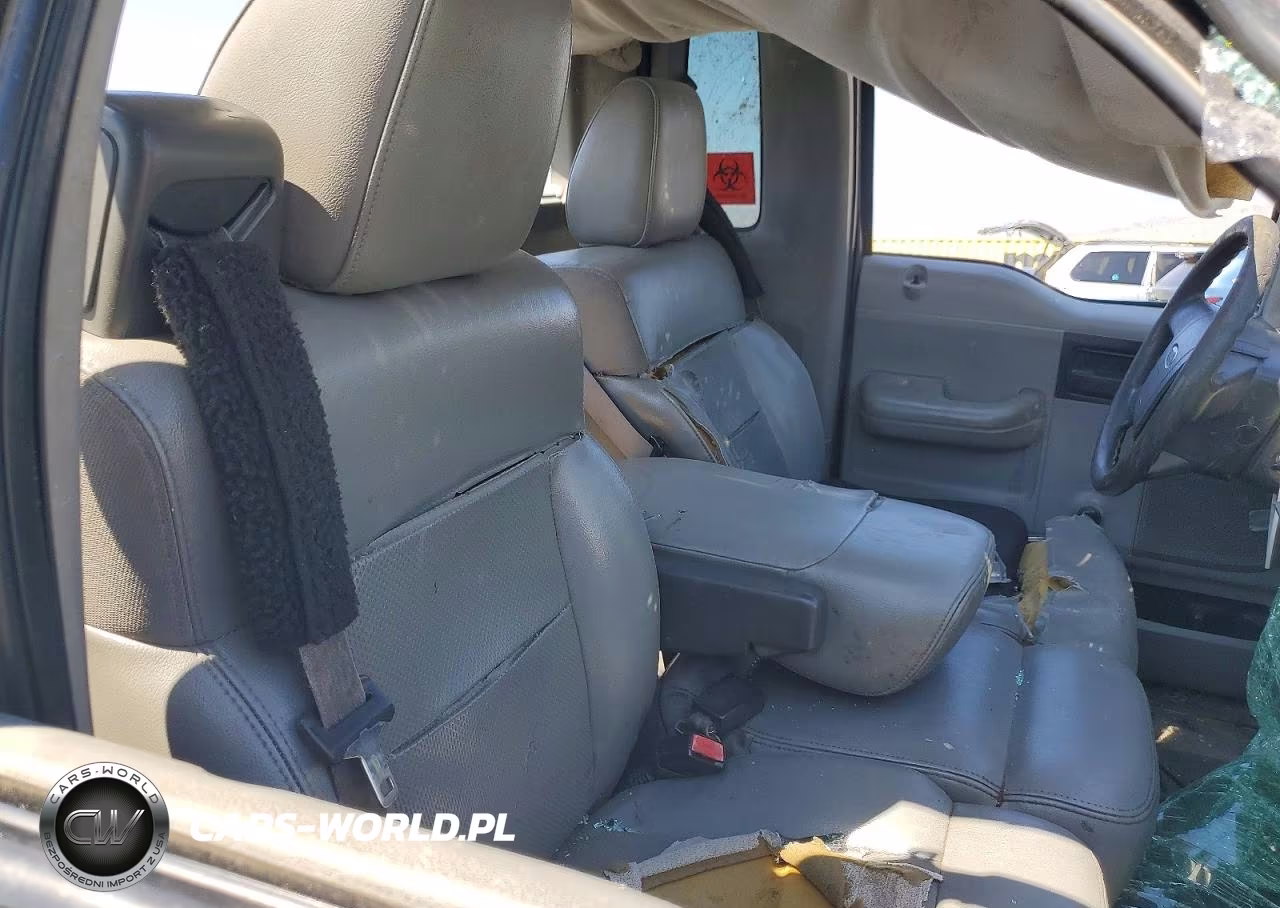 2006 Ford F150 VIN:1FTRF12246NB60825 - 10