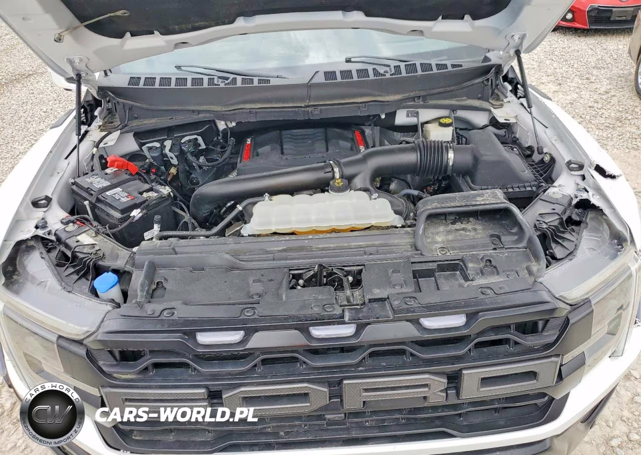 2024 Ford F150 Raptor VIN:1FTFW1RG6RFA80316 - 11