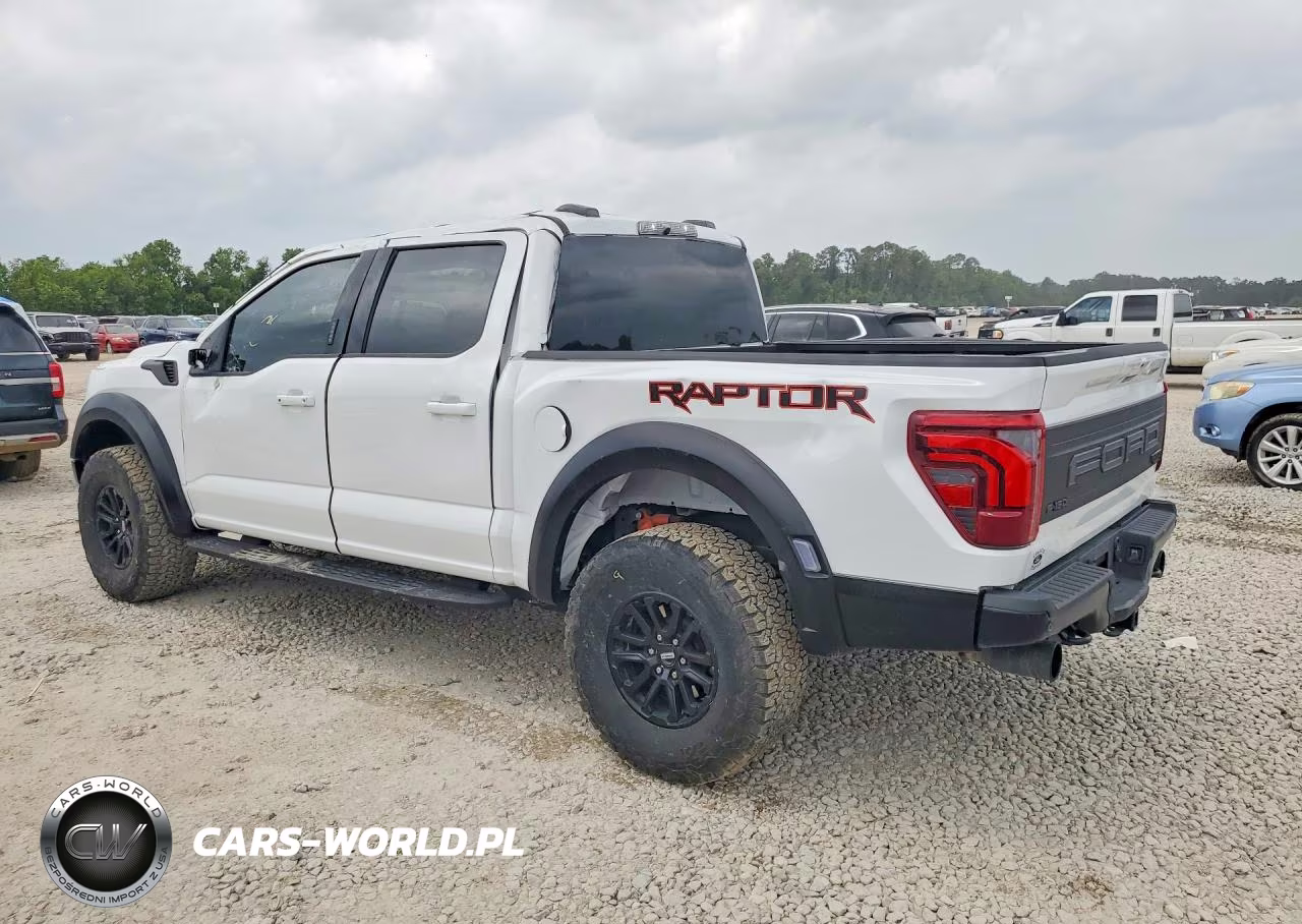 2024 Ford F150 Raptor VIN:1FTFW1RG6RFA80316 - 2