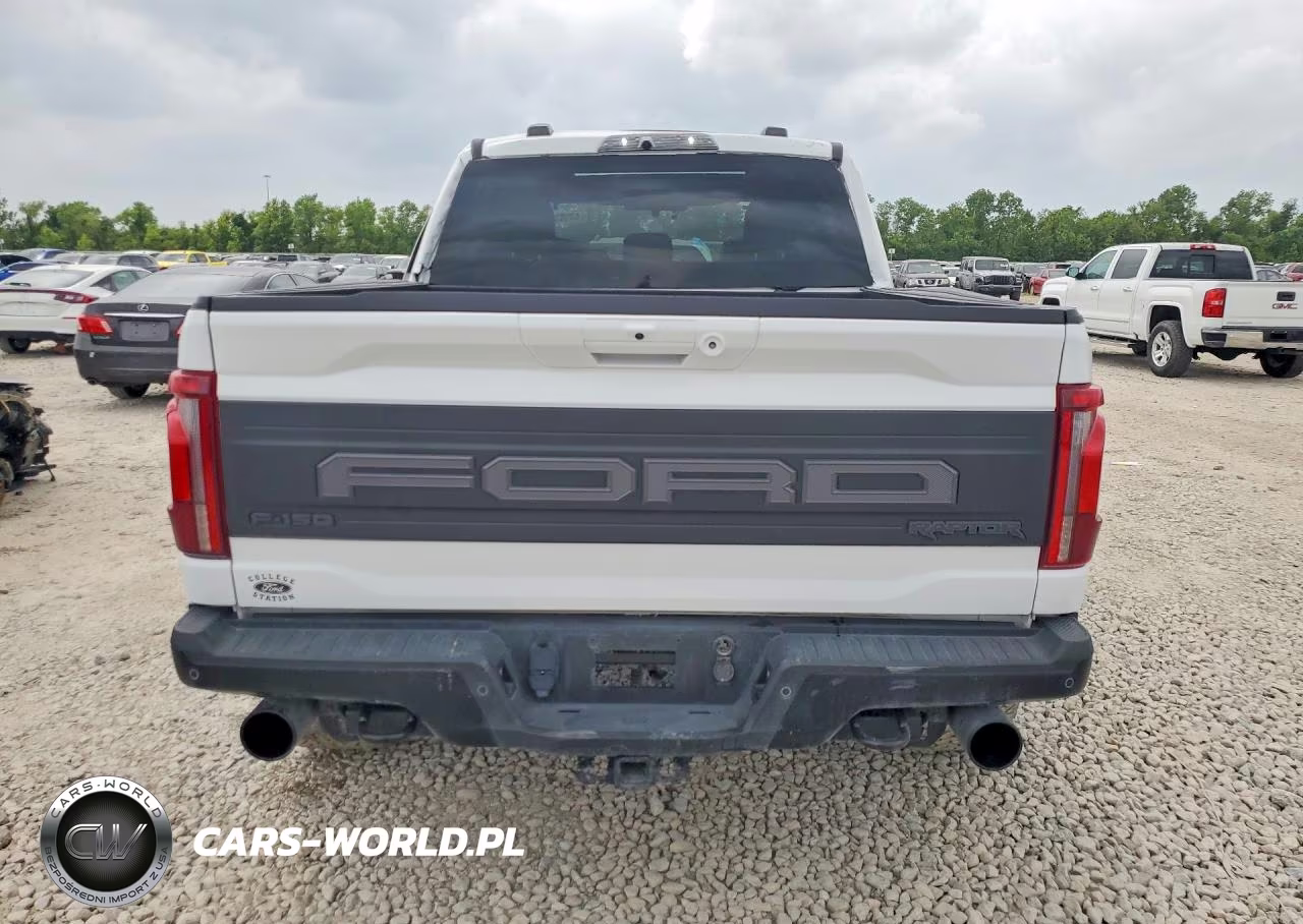 2024 Ford F150 Raptor VIN:1FTFW1RG6RFA80316 - 6