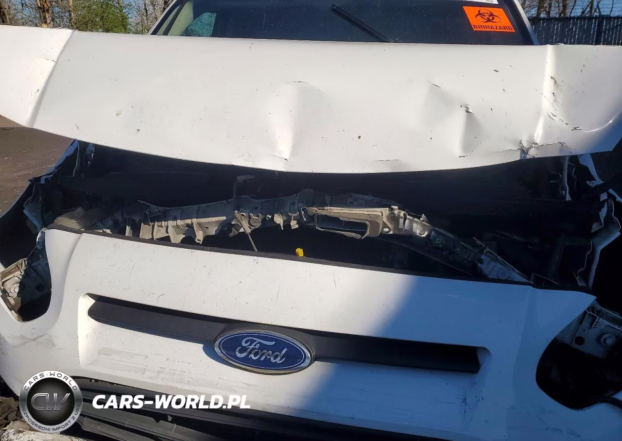 2016 Ford Transit Connect Xl VIN:NM0LS7E75G1258229 - 12