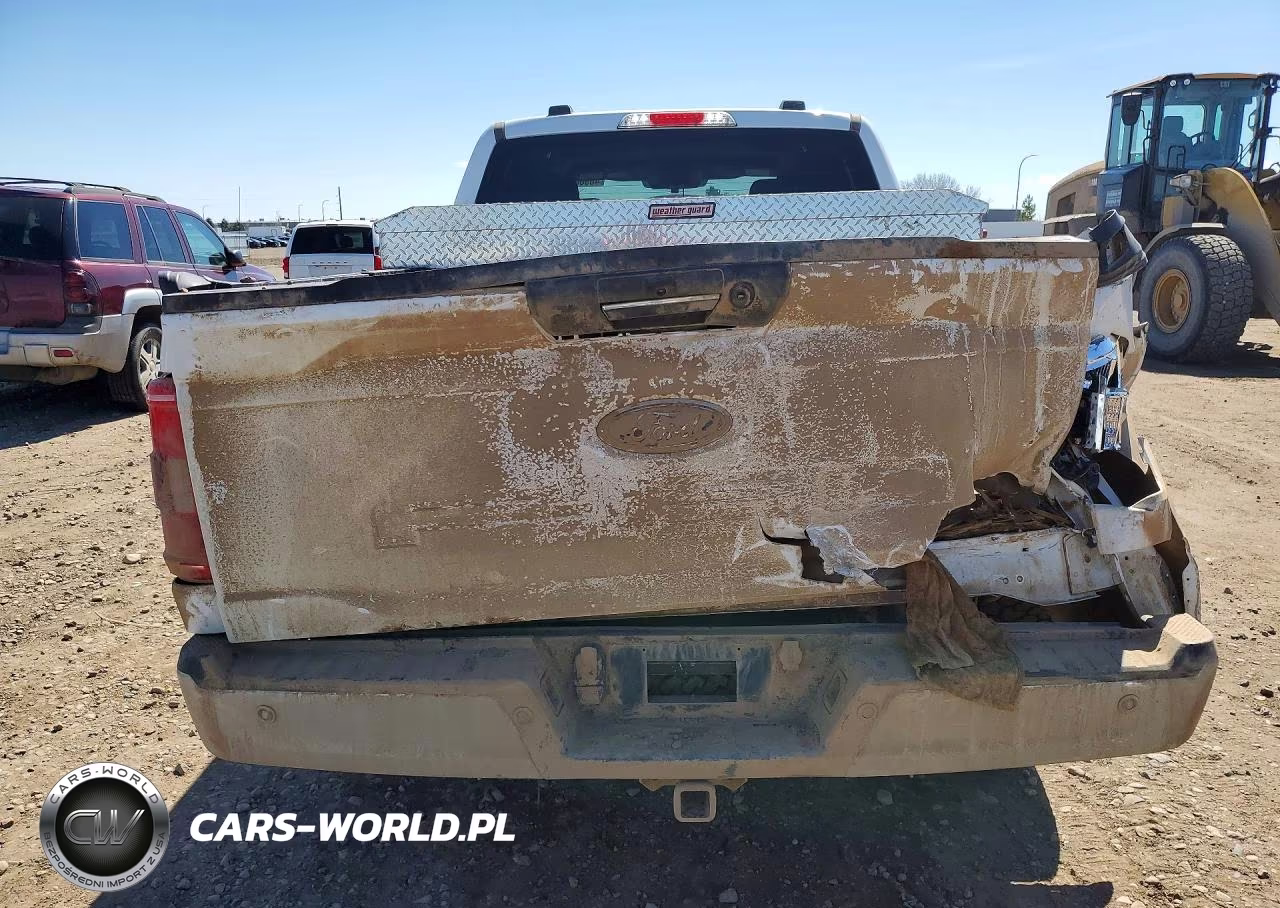 2023 Ford F150 Supercrew VIN:1FTFW1E89PFC18815 - 6