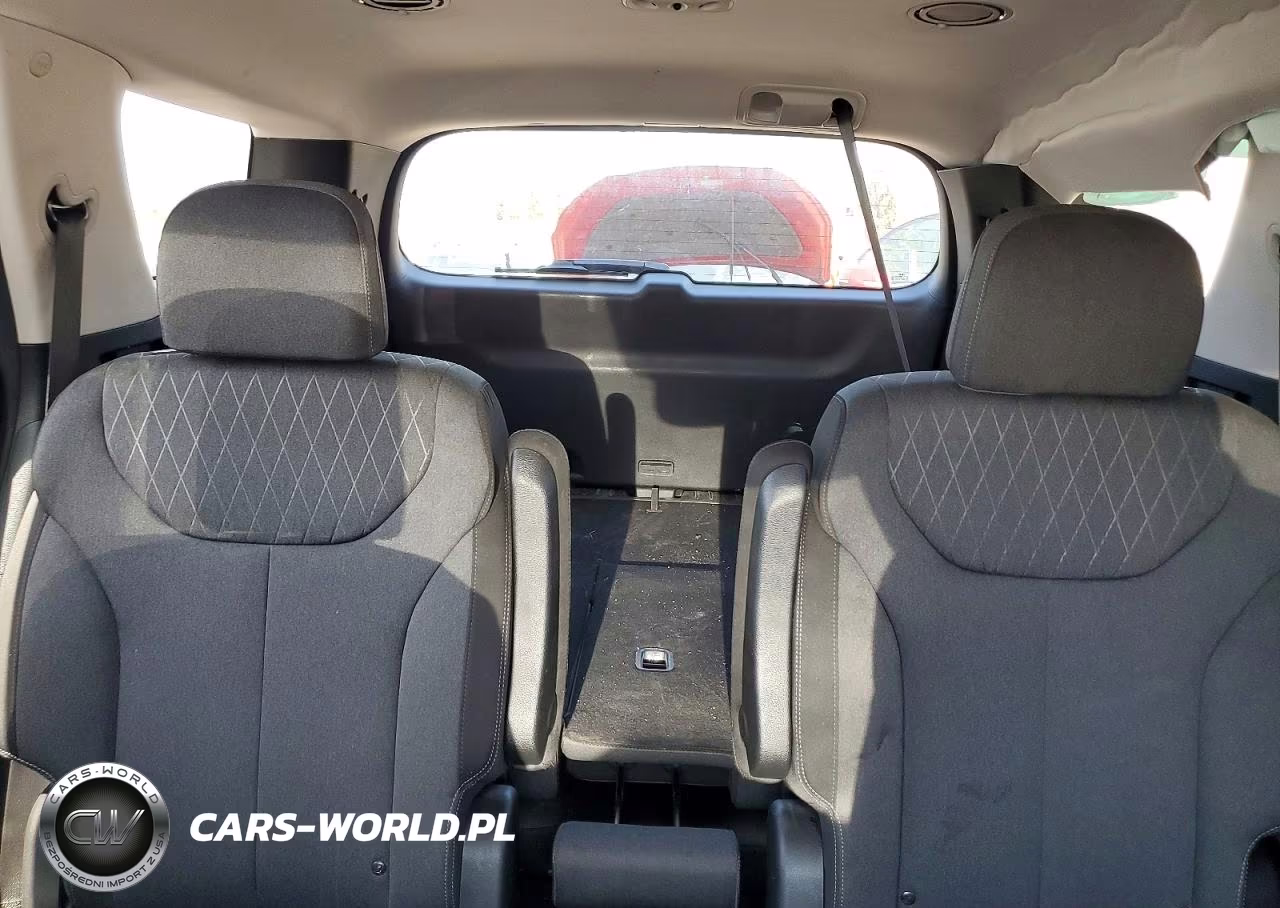 2020 Hyundai Palisade Sel VIN:KM8R3DHE7LU105939 - 10