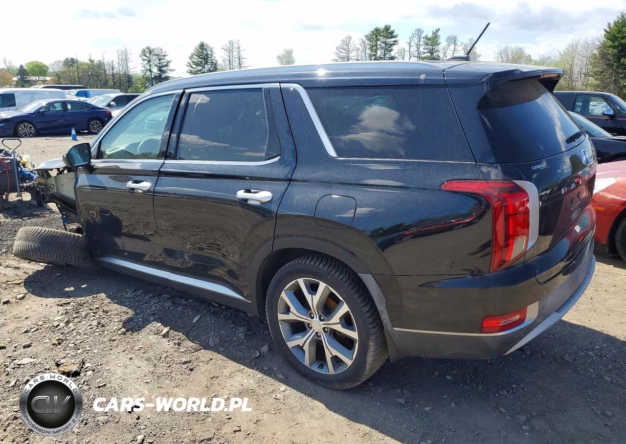 2020 Hyundai Palisade Sel VIN:KM8R3DHE7LU105939 - 2