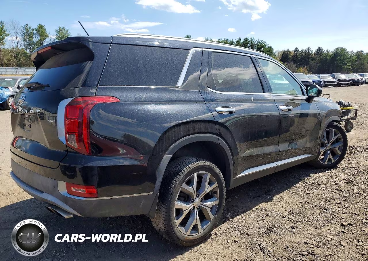 2020 Hyundai Palisade Sel VIN:KM8R3DHE7LU105939 - 3