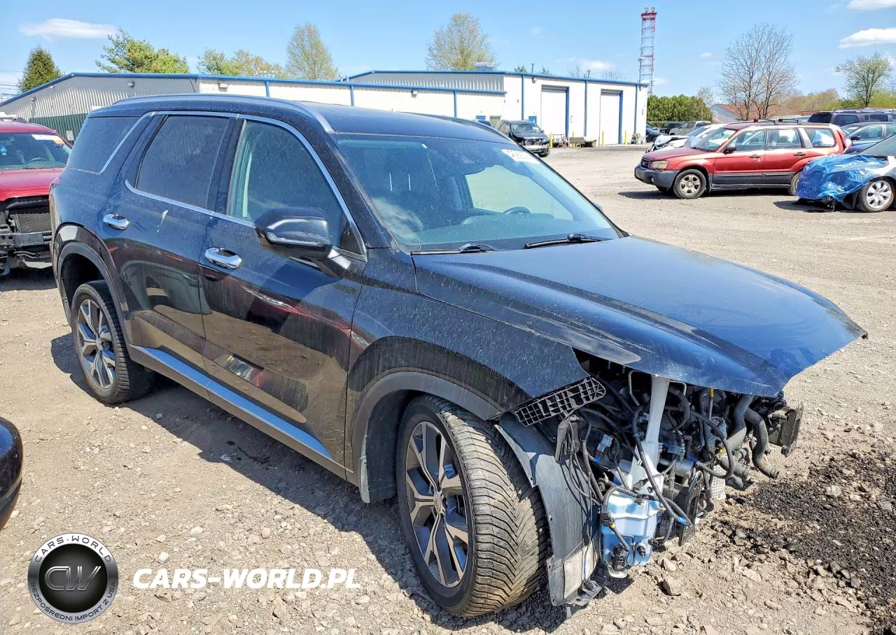 2020 Hyundai Palisade Sel VIN:KM8R3DHE7LU105939 - 4