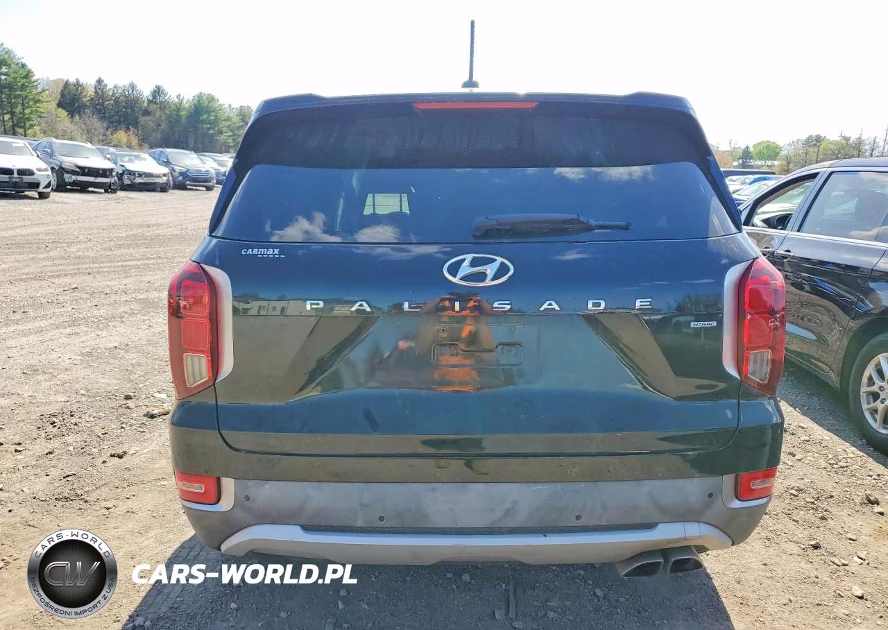 2020 Hyundai Palisade Sel VIN:KM8R3DHE7LU105939 - 6