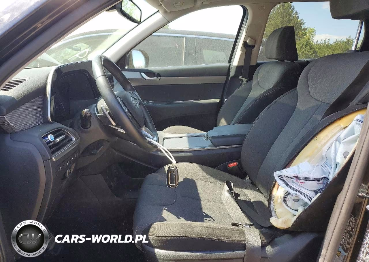 2020 Hyundai Palisade Sel VIN:KM8R3DHE7LU105939 - 7