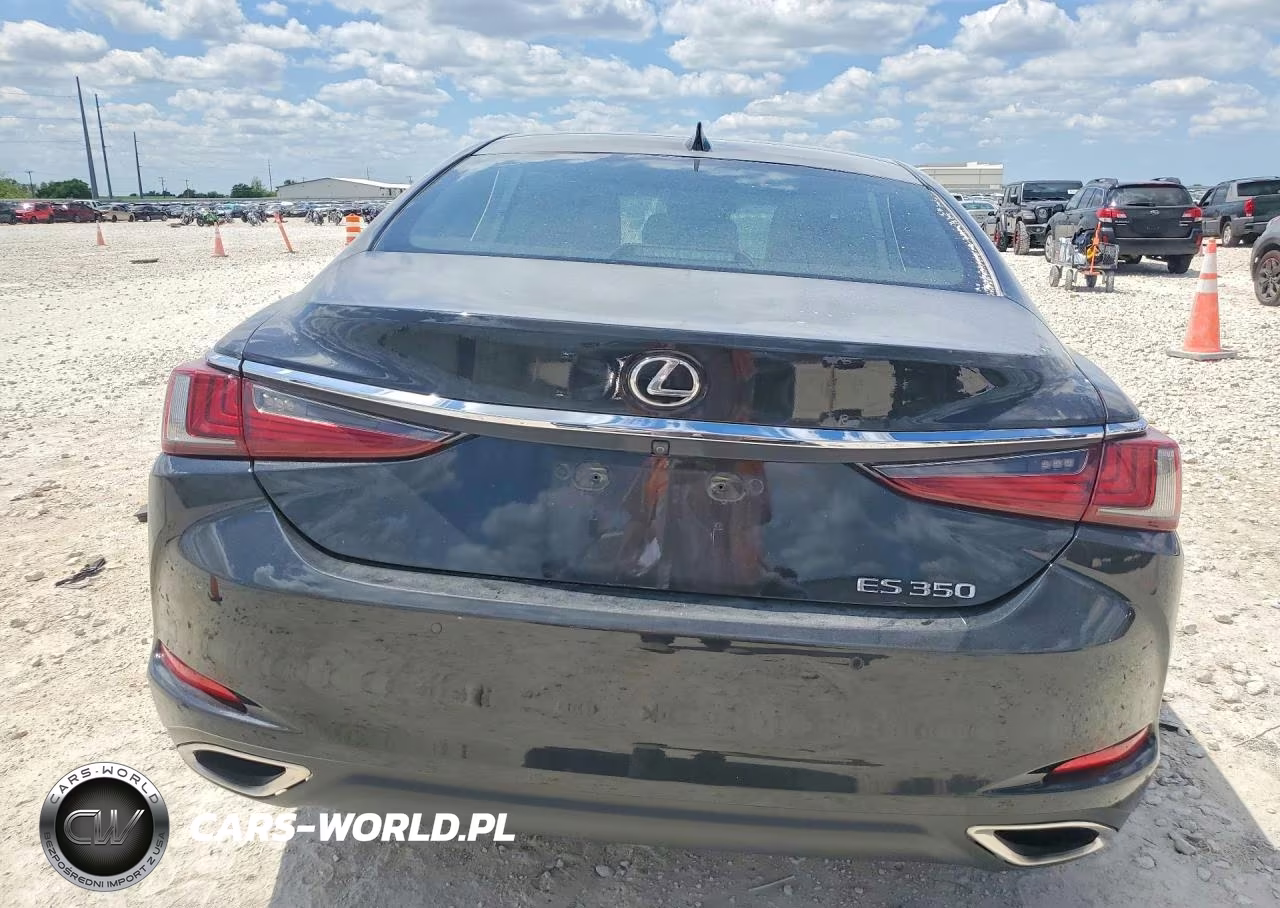 2019 Lexus Es 350 Ultra Luxury VIN:58ABZ1B14KU036638 - 6