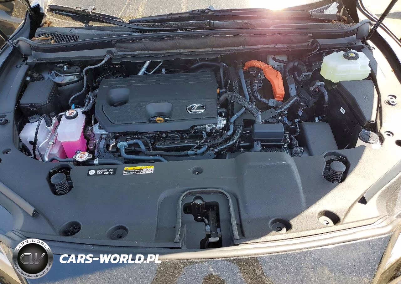 2026 Lexus Rx 350H Premium+ VIN:2T2BBMCA5TC118243 - 12