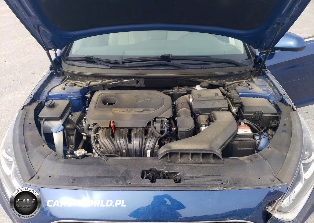 2019 Hyundai Sonata Se VIN:5NPE24AF7KH732819 - 11