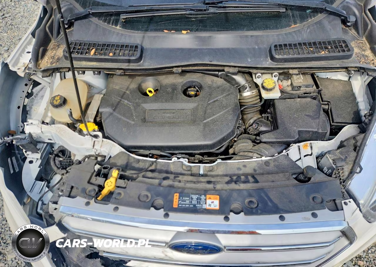 2019 Ford Escape Titanium VIN:1FMCU0J9XKUA02084 - 12