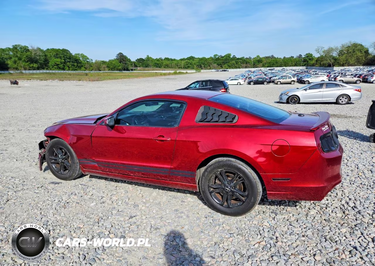 2014 Ford Mustang VIN:1ZVBP8AM1E5265005 - 2