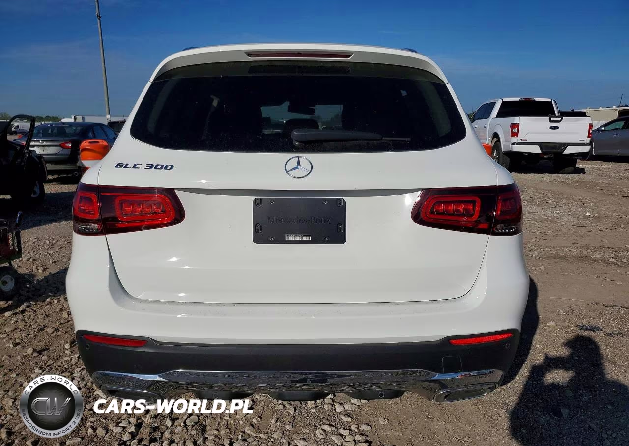 2021 Mercedes-Benz Glc 300 VIN:W1N0G8DB1MG008829 - 6