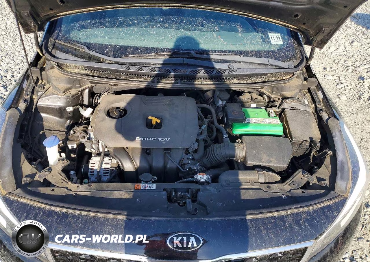 2017 Kia Forte Lx VIN:3KPFL4A72HE103606 - 11