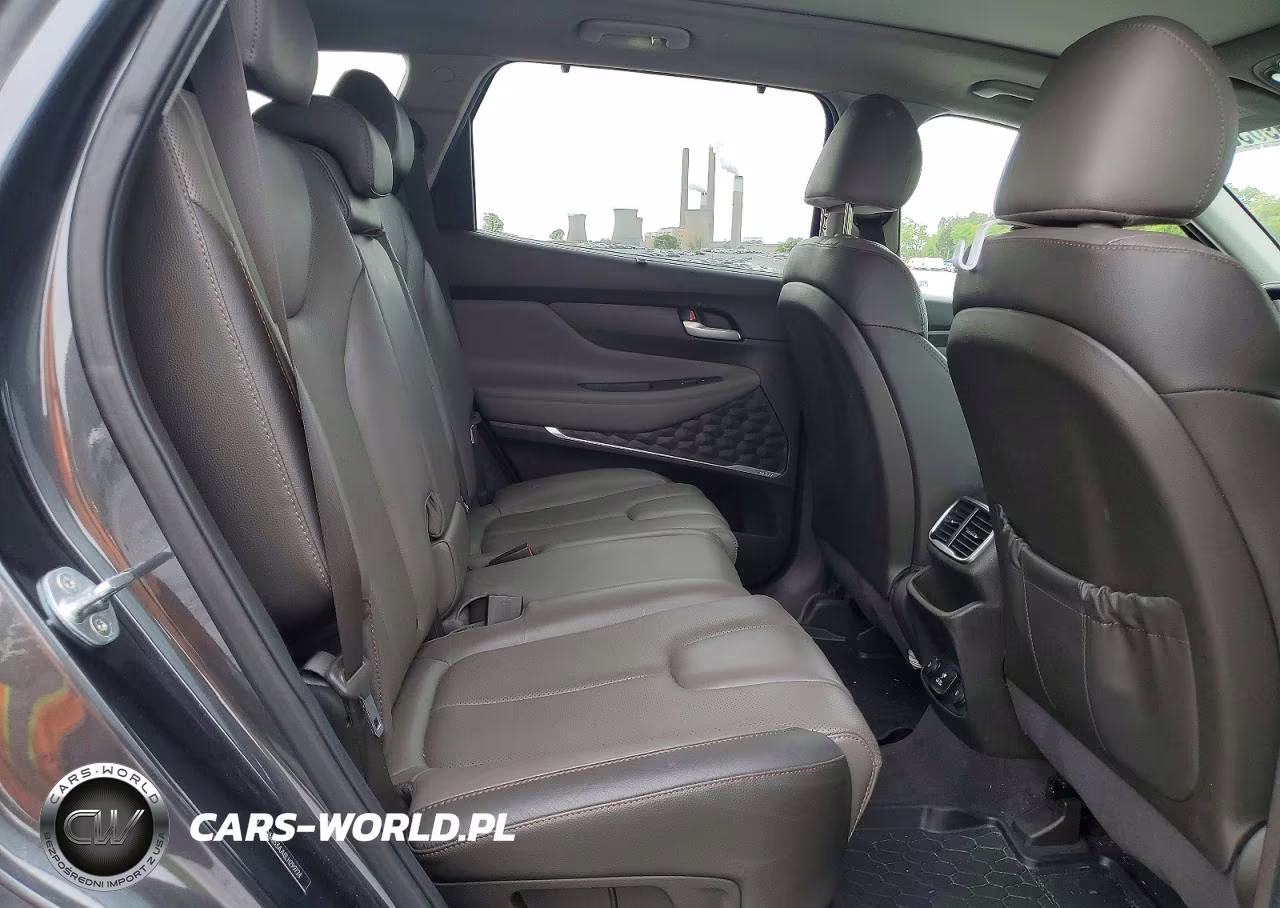 2020 Hyundai Santa Fe Limited 2.0T VIN:5NMS53AA0LH299724 - 10