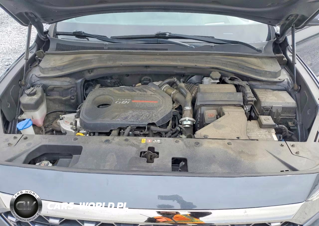 2020 Hyundai Santa Fe Limited 2.0T VIN:5NMS53AA0LH299724 - 11