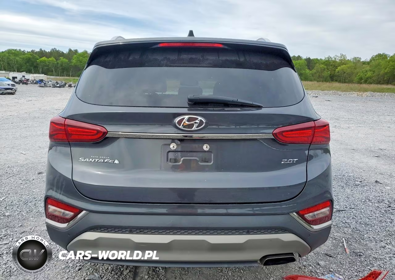 2020 Hyundai Santa Fe Limited 2.0T VIN:5NMS53AA0LH299724 - 6