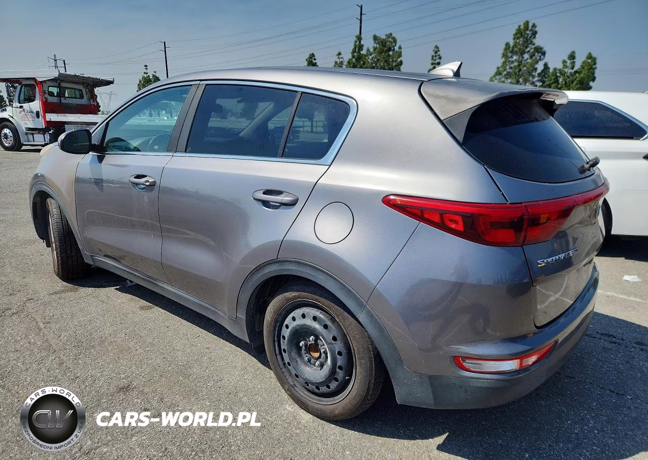 2019 Kia Sportage Lx VIN:KNDPM3AC5K7512991 - 2