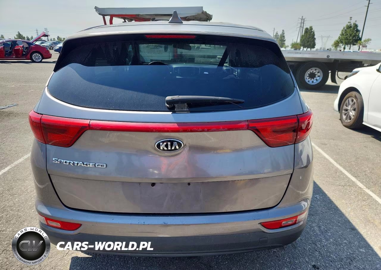 2019 Kia Sportage Lx VIN:KNDPM3AC5K7512991 - 6