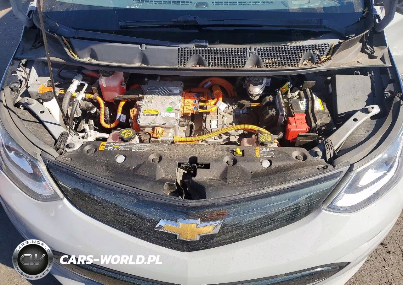 2019 Chevrolet Bolt Ev Lt VIN:1G1FY6S08K4122452 - 11