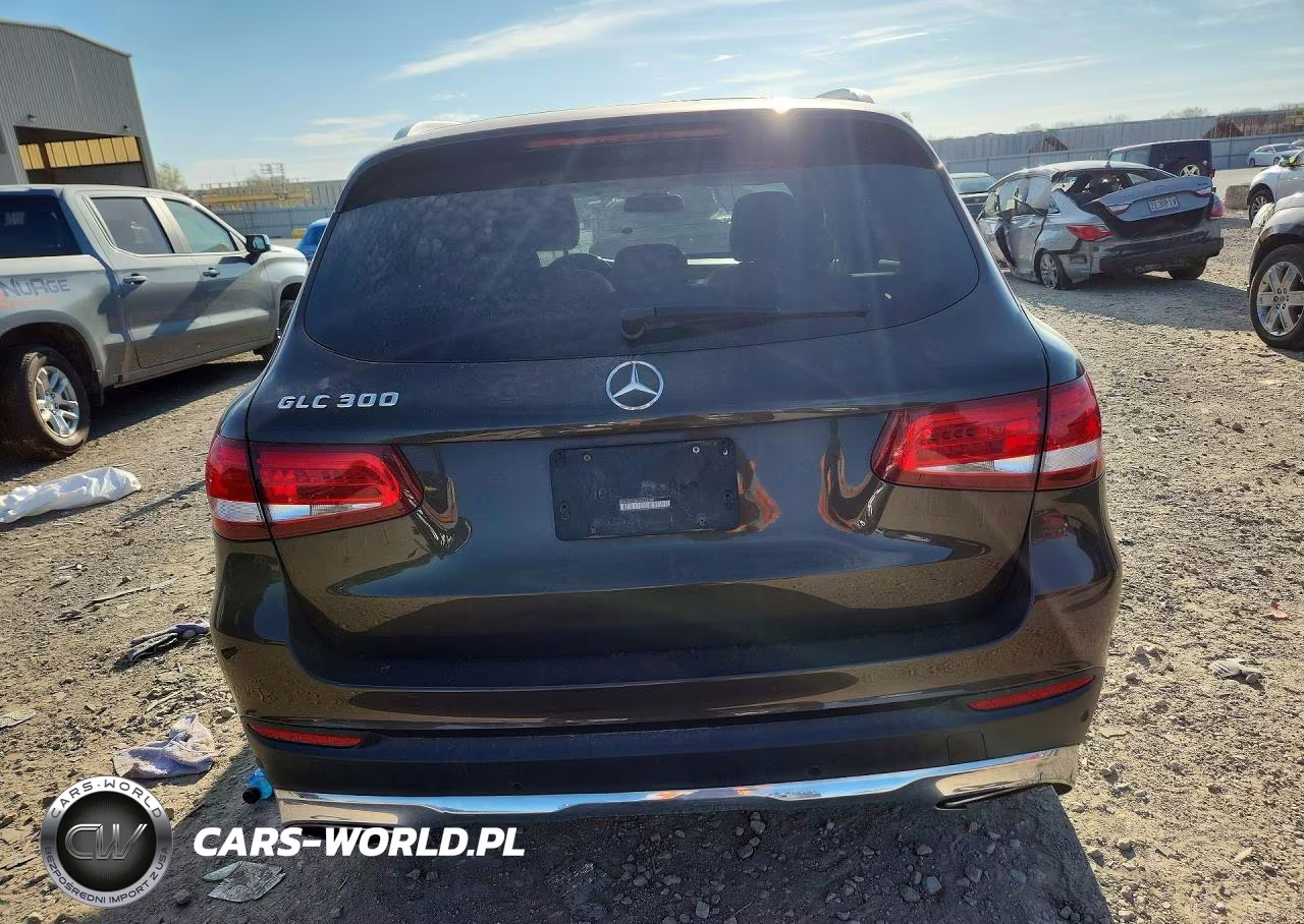 2016 Mercedes-Benz Glc 300 VIN:WDC0G4JB6GF025280 - 6