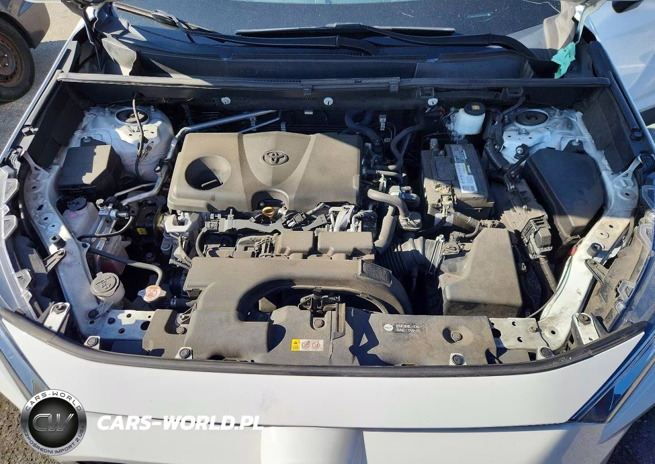 2019 Toyota Rav4 Xle VIN:2T3W1RFV2KW044708 - 11