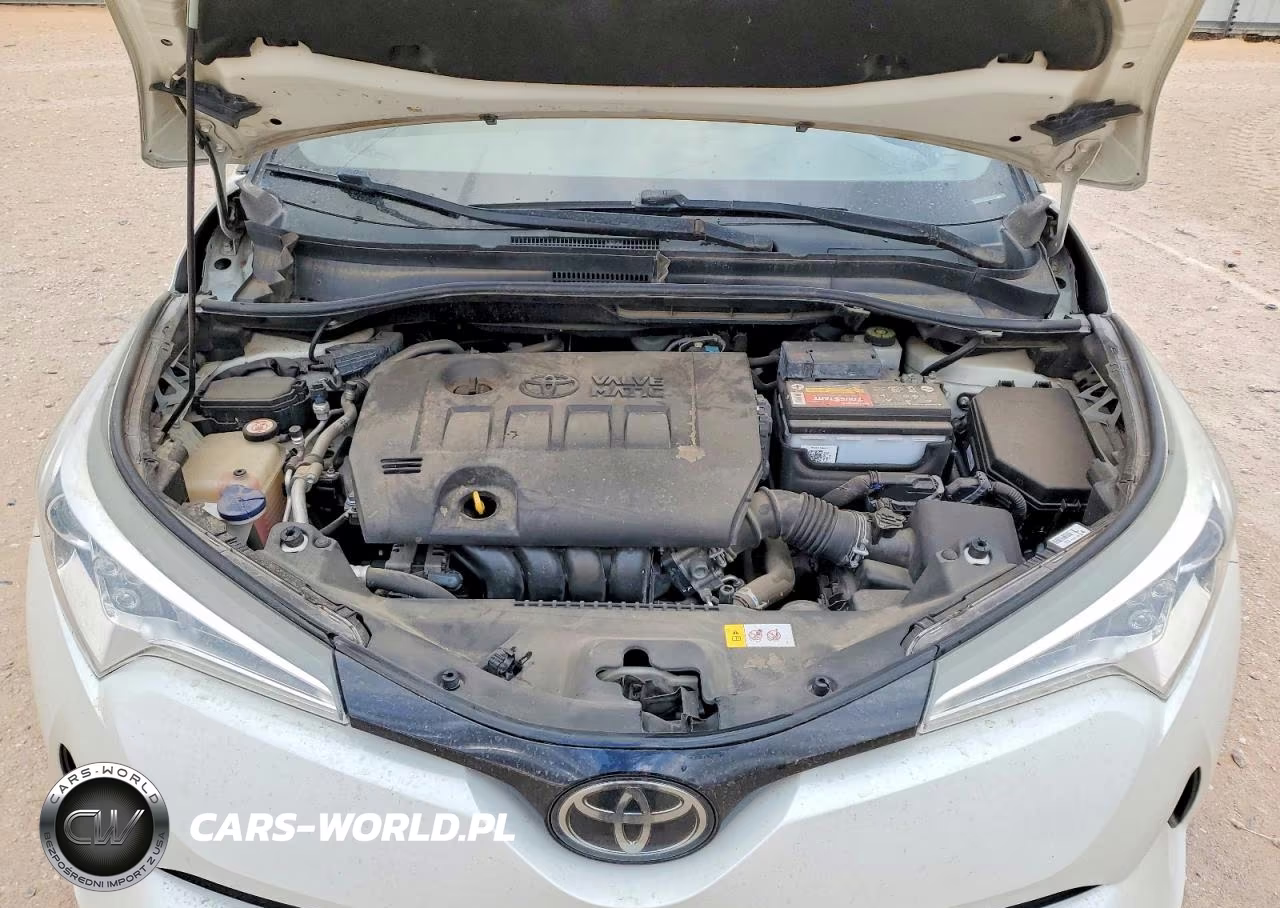 2019 Toyota C-Hr Xle VIN:NMTKHMBX0KR100634 - 11